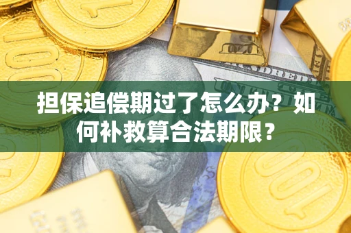 济南担保追偿期过了怎么办？如何补救算合法期限？