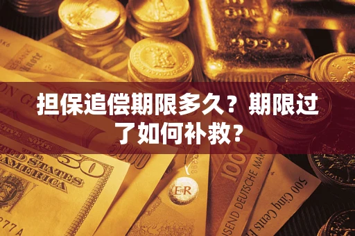 济南担保追偿期限多久？期限过了如何补救？
